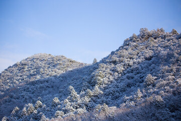 雪の積もった山