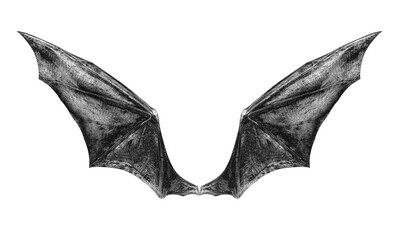 bat wings isolated on white.