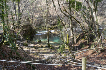 blue and transparent water river in Urederra, Navarra (Spain)