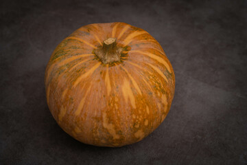 Small ripe pumpkin on a dark background