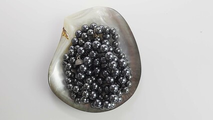 Black pearl necklace in oyster. Black pearls in a shell.Banner with a white background. Nacre. Thai pearl.