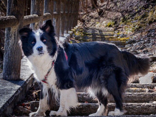 Waiting to go Hiking