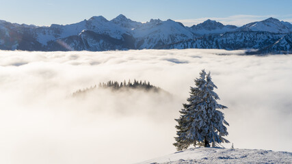 Above the clouds in the winter in the mountains in Austria, Tannheimer Tal valley