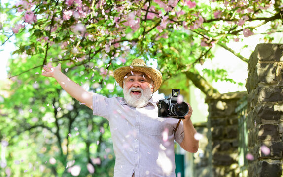 hobby at retirement. tourism and holiday. traveler camera man under sakura bloom garden. travel concept. male photographer enjoy blossom. travel and walking in cherry park. Enjoying spring holiday