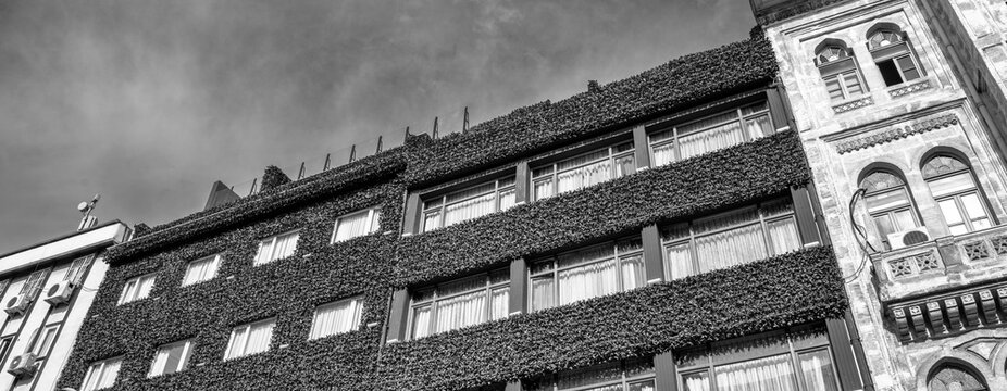 Old and ecological building with vegetation on the facace. Ecology and green planet concept. Blue sky