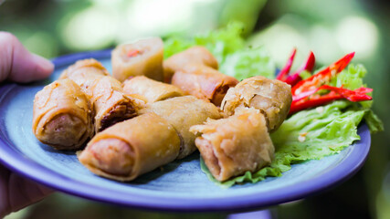 Deep fried spring rolls in blue plates with vegetables, chili and dipping sauce (Chinese food)