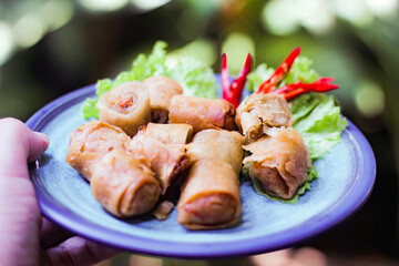 Deep fried spring rolls in blue plates with vegetables, chili and dipping sauce (Chinese food)