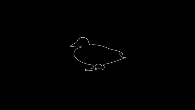 white linear duck silhouette. the picture appears and disappears on a black background.