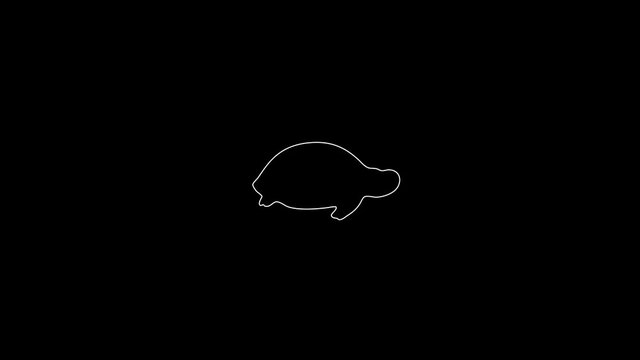 white linear turtle silhouette. the picture appears and disappears on a black background.