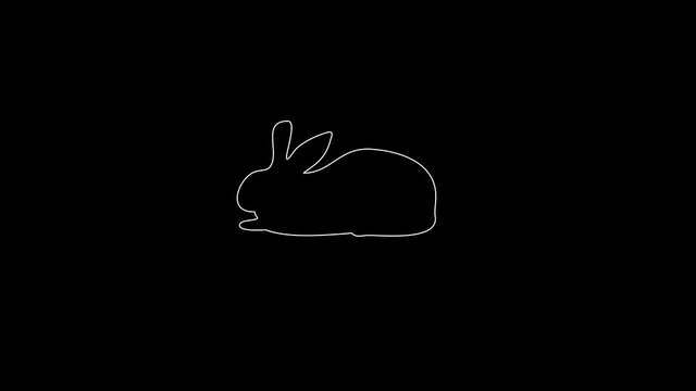 white linear rabbit silhouette. the picture appears and disappears on a black background.