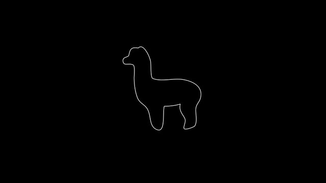 white linear lama silhouette. the picture appears and disappears on a black background.
