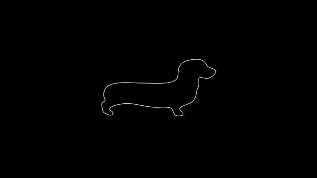 white linear dachshund silhouette. the picture appears and disappears on a black background.