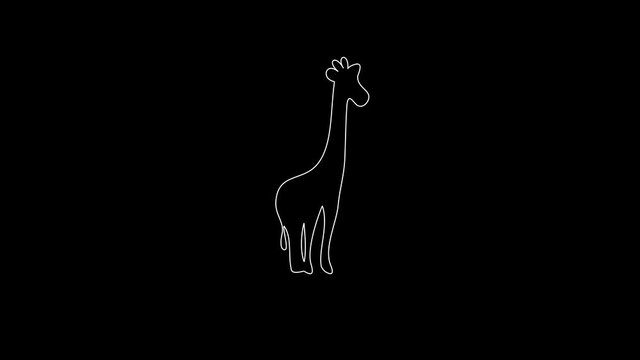 white linear giraffe silhouette. the picture appears and disappears on a black background.