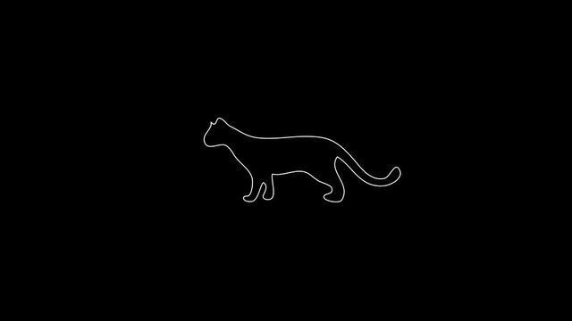white linear cheetah silhouette. the picture appears and disappears on a black background.