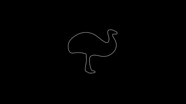 white linear ostrich silhouette. the picture appears and disappears on a black background.