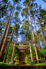 Fototapeta premium A shrine in the woods