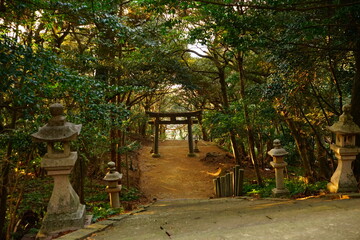 日本 長崎県 対馬 海神神社