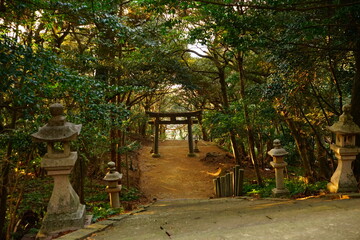 Fototapeta premium 日本 長崎県 対馬 海神神社