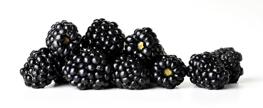 Amoras frescas em fundo branco.