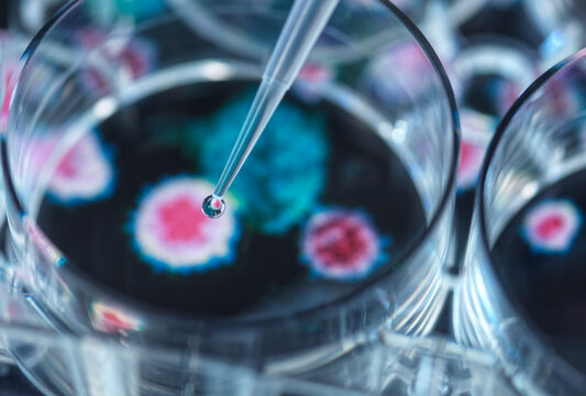 Pipetting potential cure onto virus in petri dish