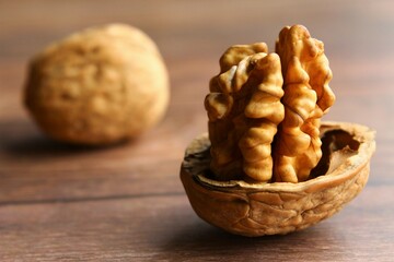 Close up walnut brain on shell photo front view 