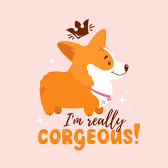 Corgi with crown and quote - I'm really corgeous. Welsh сorgi print for card, poster or t-shirt design. Vector illustration isolated on pink background. Cute dog and funny hand drawn lettering.