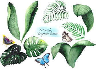 A collection of green tropical leaves and bright butterflies, isolated on a white background. Watercolor drawing for the design and illustrations of postcards, posters, banners.