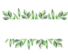 Hand-painted watercolor banner with green eucalyptus leaves and green branches. Spring or summer flowers for invitations, weddings or postcards.