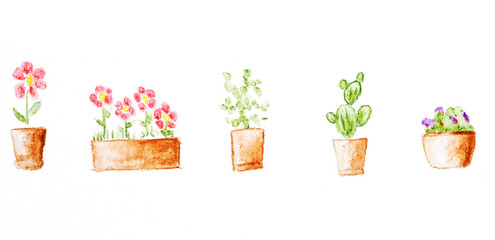 set of flowers in pots drawing pencil watercolor