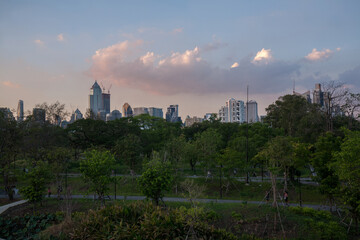Fototapeta na wymiar Benjakitti Forest Park, is new landmark and public park in downtown of Bangkok, Thailand
