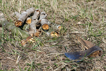 Firewood with an axe on a grass
