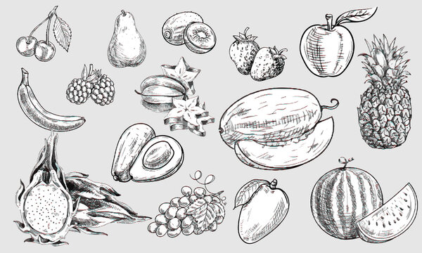 Hand draw fruits sketch seamless pattern, outline, pencil draw, doodle, cartoon, fruit doodle, kawai