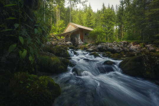 Watermill on flowing stream among trees
