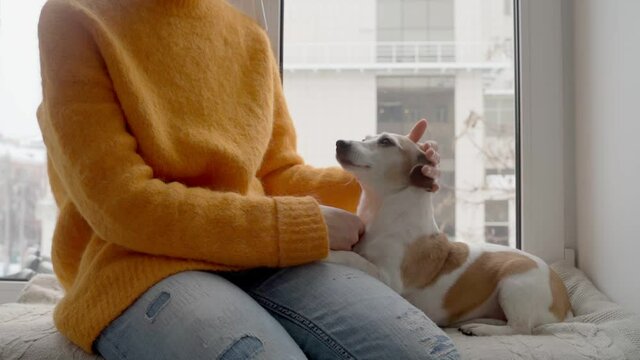 tender moment of love and trust. owner girl in orange jumper and small dog sit on the windowsill and cuddle. Cozy time at home relaxing weekend. Home family atmosphere video footage. 