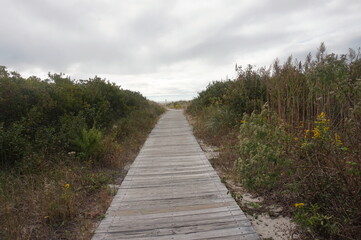 Wooden Weathered Board Walk Through Dunes with Plants Beach Ocean and Sky