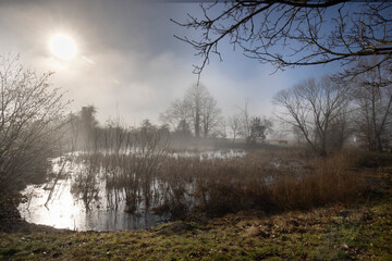 foggy morning at the lake