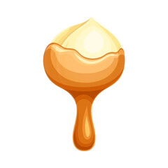 Hazelnut in liquid melted milk chocolate vector illustration on white background