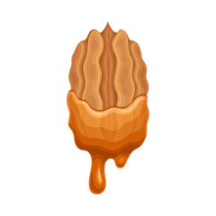 Pecan in liquid caramel. Nutritious natural sweet dessert vector illustration