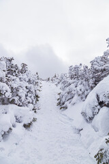 Whinter in the White Mountains, New Hampshire