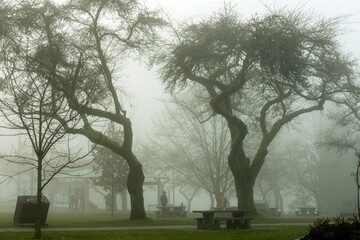 Picnickers braving the fog at Burnaby Mountain Park during a winter cloud inversion.