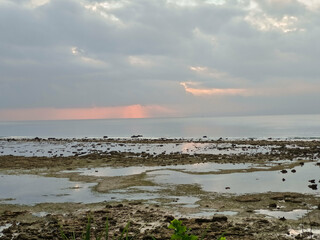 Beautiful Beach background. sunset time with sand tree and dead corals. Peaceful place to see view...