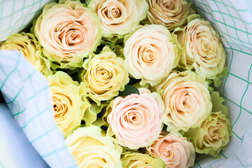 White pink beautiful rose wrapped in paper on sale at flower market, present gift on Valentine's day.