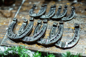horseshoe