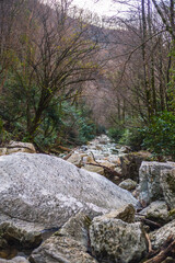 Fototapeta premium river in the mountains