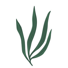 Hand drawn branch with leaves