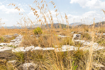 Panoramic SIghts of The Acropoli at Segesta Archaeological Park in Trapani, Sicily, Italy.