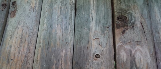 Elm wood plank texture, wood plank texture background.