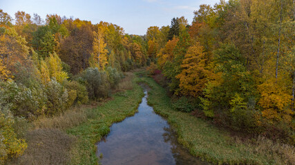 Fototapeta na wymiar autumn forest with lake