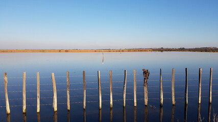 Tour Carbonière - Camargue