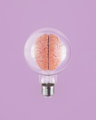 Translucent bulb with model of human brain on purple muted isolated background. Minimal aesthetic...